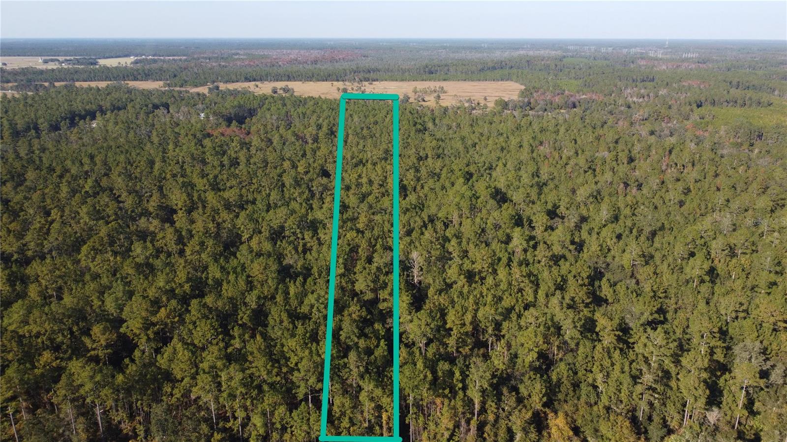 4619 STATE HWY 100 W