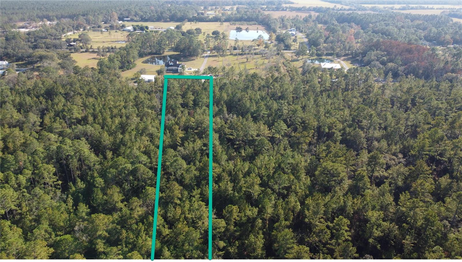 4619 STATE HWY 100 W