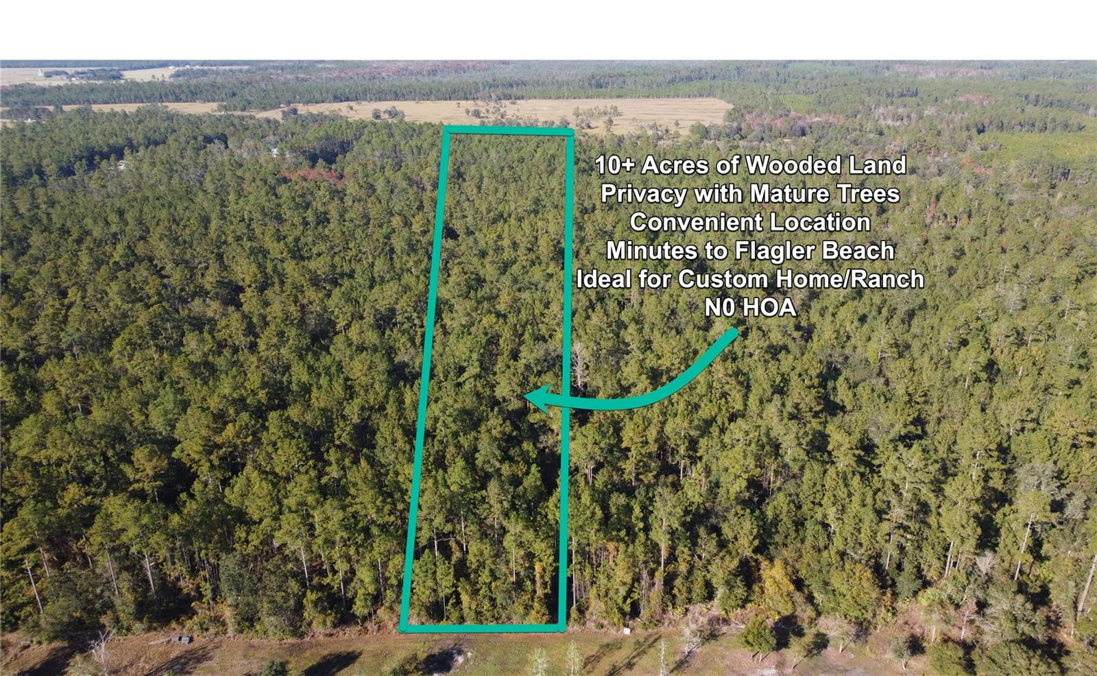 4619 STATE HWY 100 W