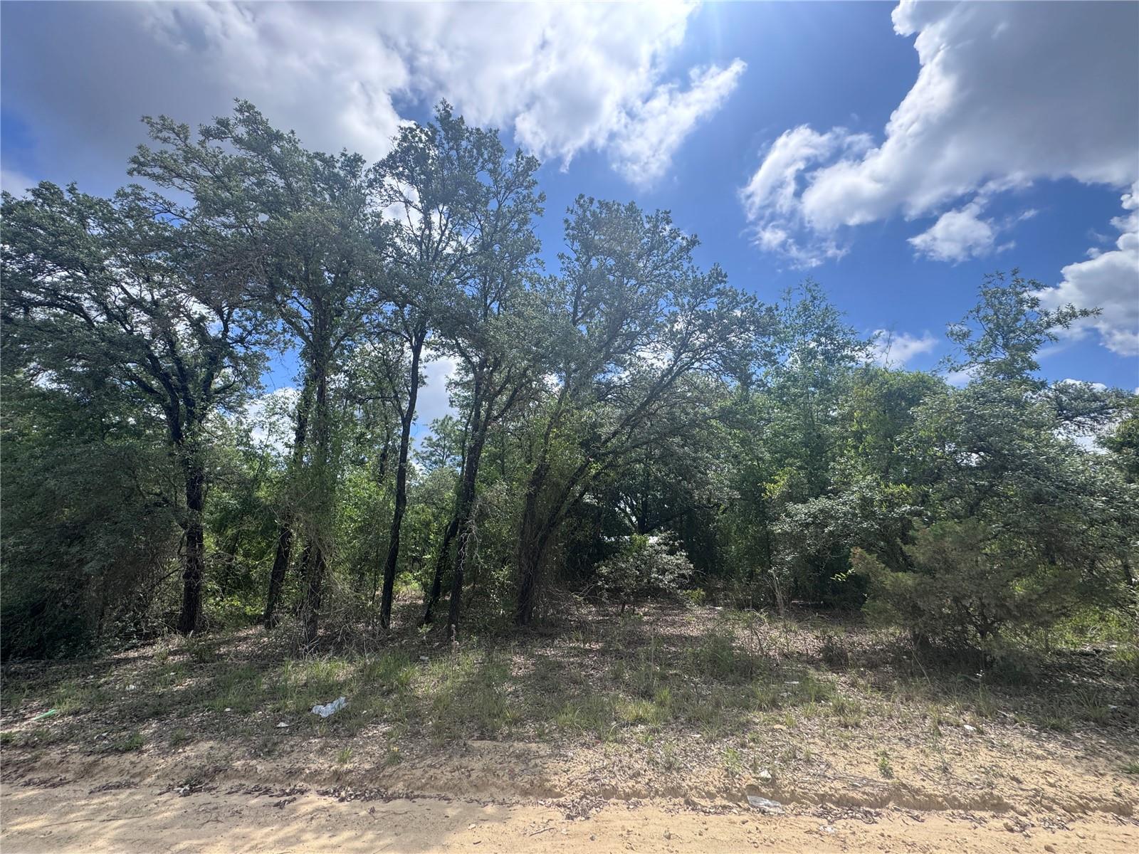 OAK RIDGE ESTATES - Land