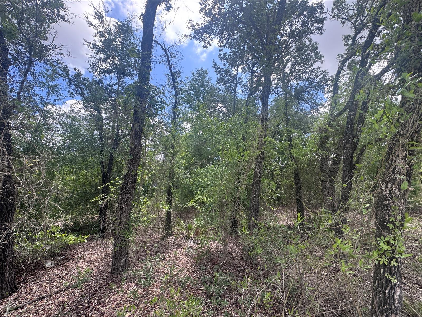 OAK RIDGE ESTATES - Land