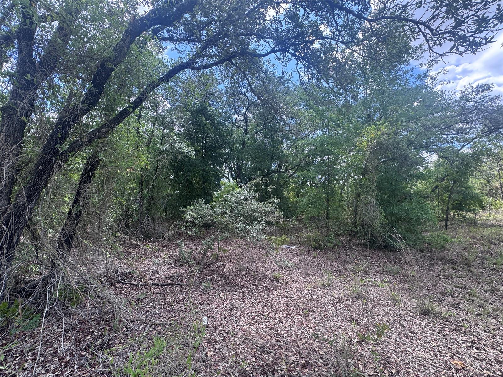 OAK RIDGE ESTATES - Land