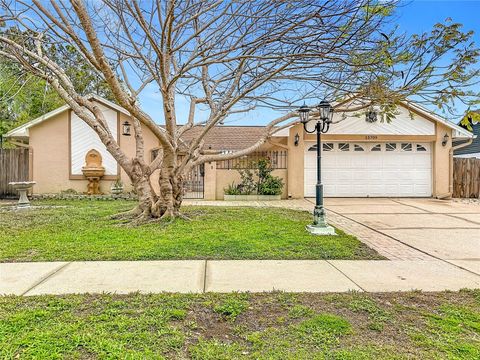 Photo of 15709 Crying Wind Drive, Tampa, FL 33624 (MLS # TB8490479)