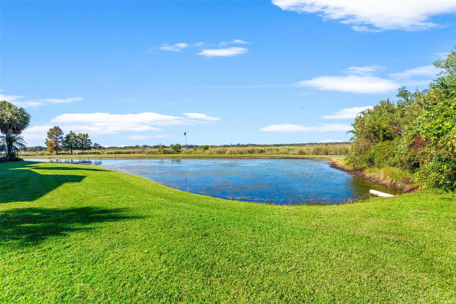 BAYWOOD NORTHWEST CONDO - Residential