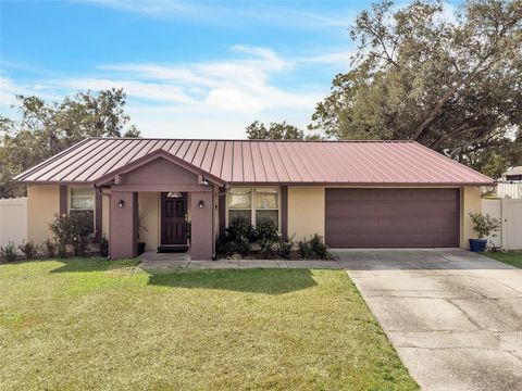 3509 KING GEORGE LANE SEFFNER FL 33584
