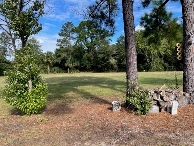 FLAGLER TRUCK FARMS - Land