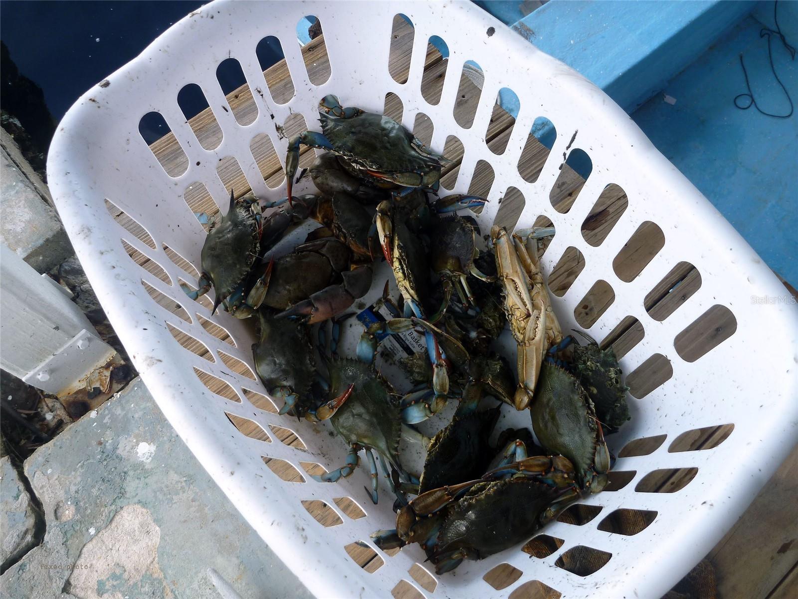 COLLURA SUB - Residential