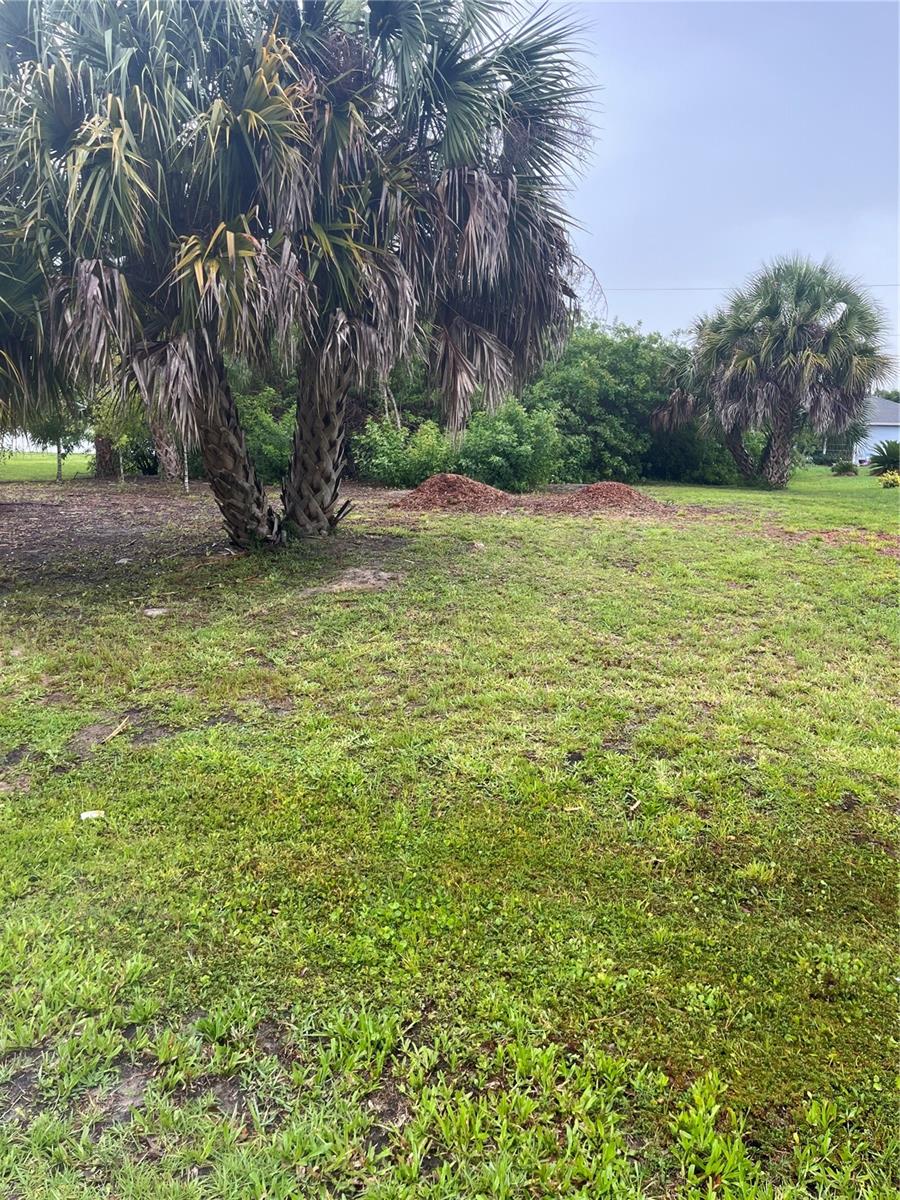 23084 AUGUST AVENUE, PORT CHARLOTTE, FL, 33954 2 23084 AUGUST AVENUE