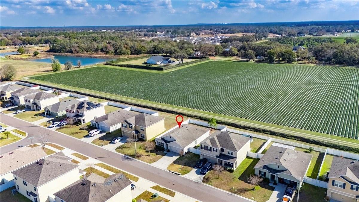 ALTERRA - Residential