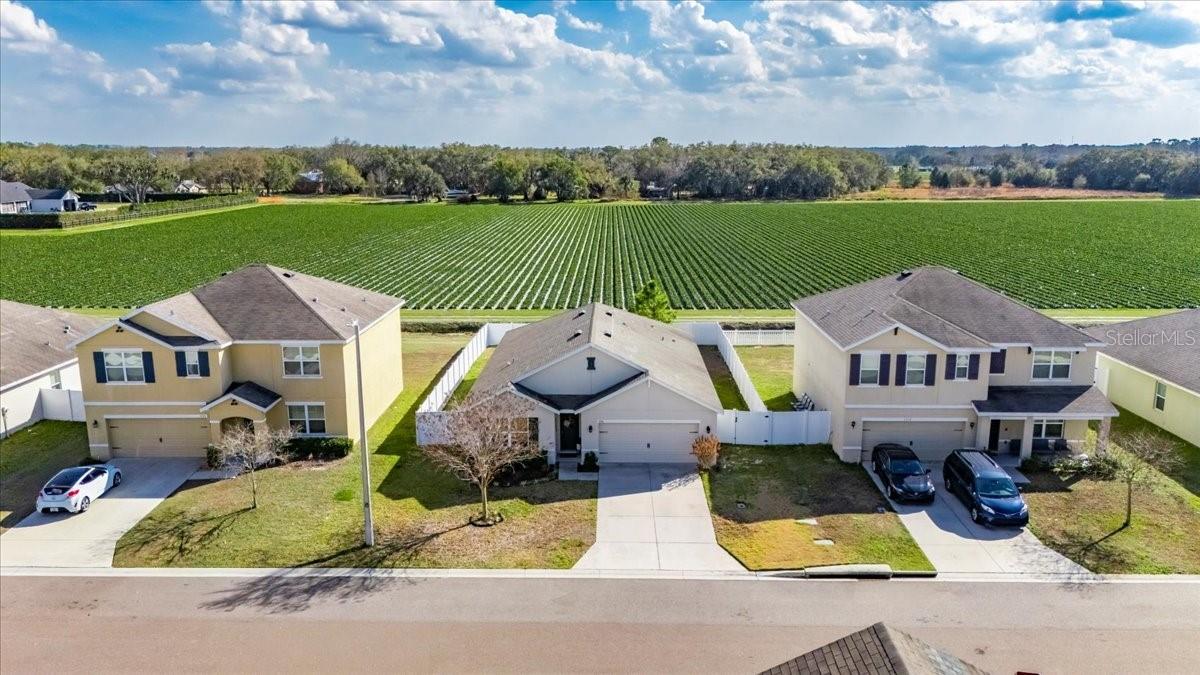 ALTERRA - Residential