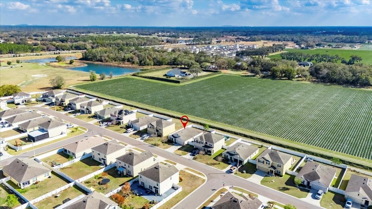 ALTERRA - Residential