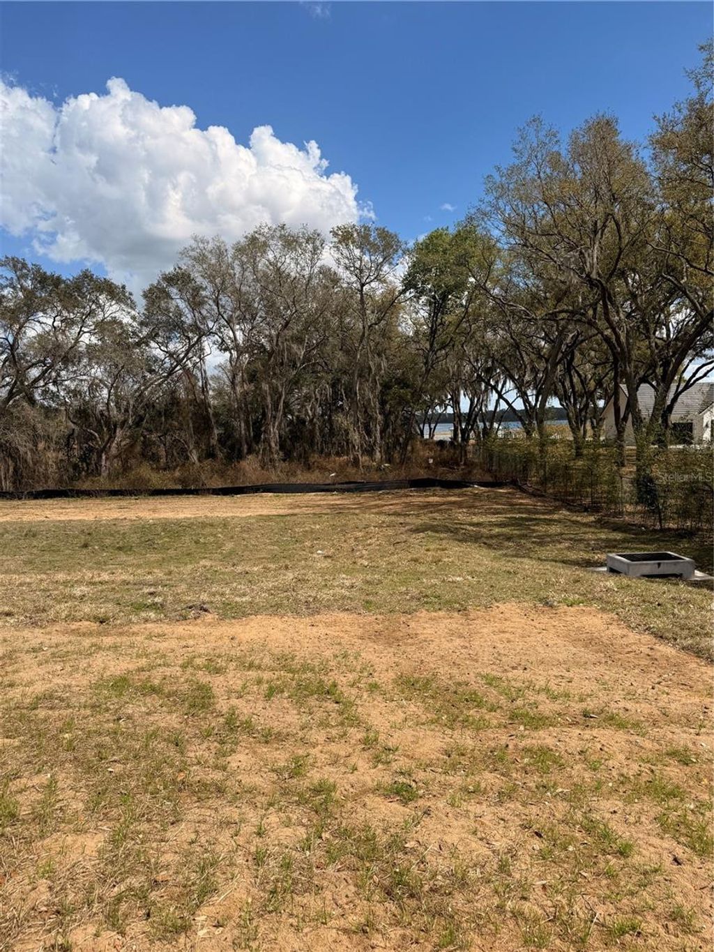 Photo of 3802 Marigold Belle Circle, Clermont, FL 34711 (MLS # O6388742)