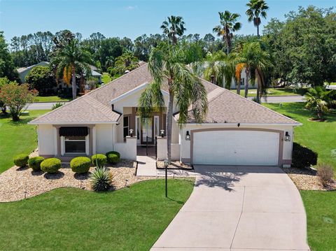 Photo of 2461 Merida Circle, The Villages, FL 32162 (MLS # G5095401)