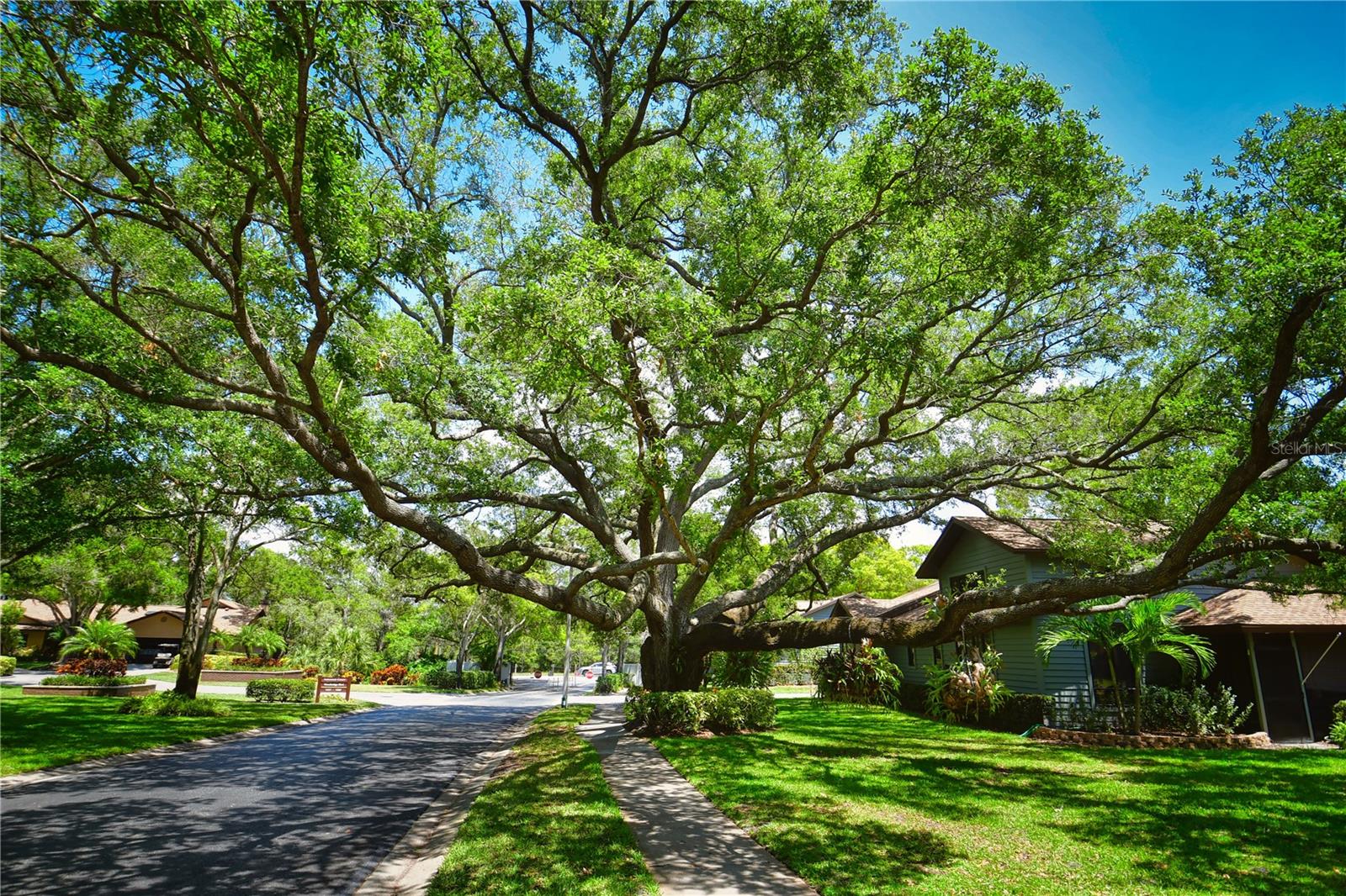 WOODBRIDGE CONDO - Residential