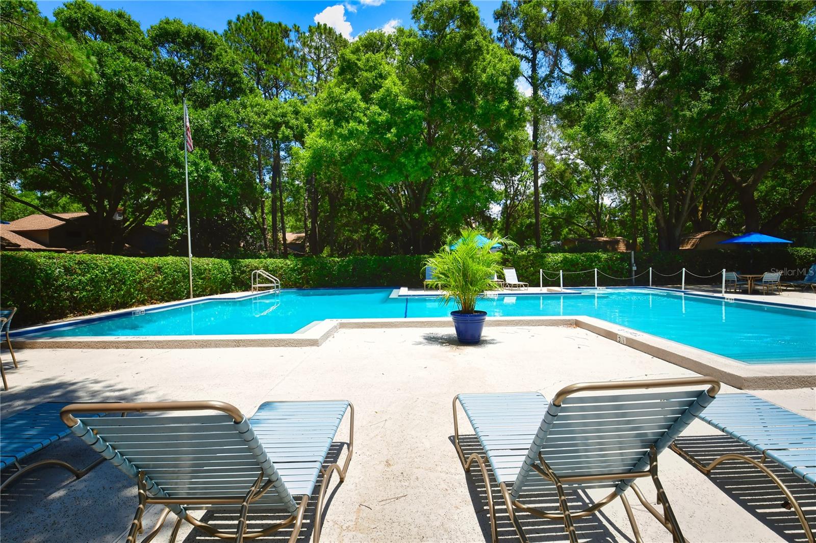 WOODBRIDGE CONDO - Residential