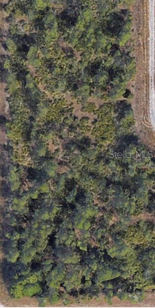 Beautiful .23 acre lot in Lehigh Acres FL. Build Your Dream Home in Lehigh Acres! This spacious vacant quarter acre lot is ready for you to build your custom single-family home in the growing community of Lehigh Acres! Enjoy peaceful surroundings, affordable living, and easy access to Fort Myers while being close to shopping, dining, parks, and top-rated schools. With plenty of new development in the area, this is the perfect opportunity to invest in Florida living.