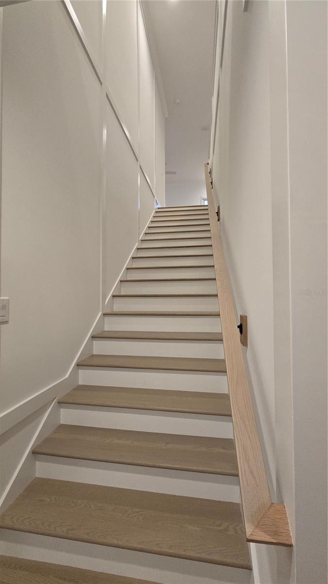 DAVIS ISLANDS - Residential