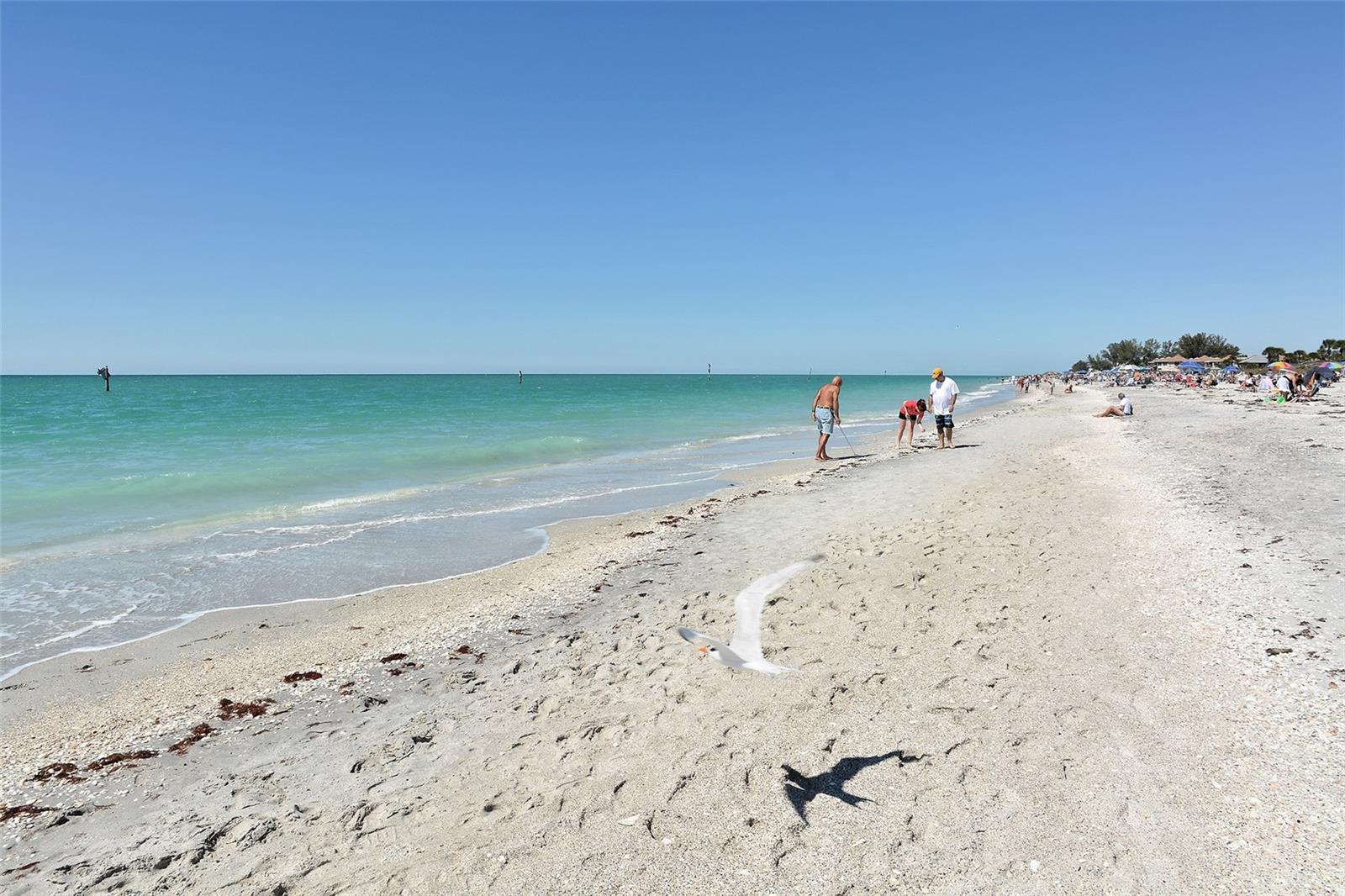 PORT CHARLOTTE SUB 23 - Land