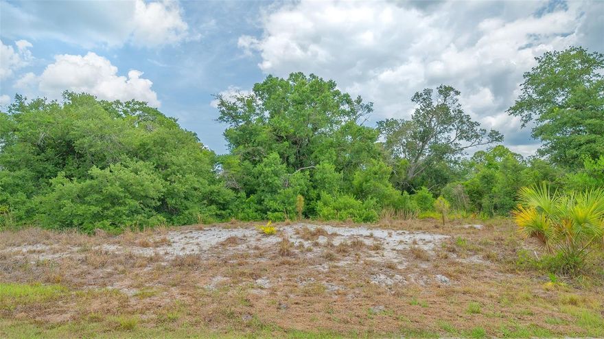 Vacant land with development potential. Discover an incredible opportunity with this undeveloped tract of land, offering approximately 2.02 wooded acres full of natural beauty and untapped potential. This irregular shaped lot offers an impressive 197 feet of road frontage, providing excellent visibility and access. With no deed restrictions, this property offers flexibility to bring your vision to life. Whether you're looking to develop, build your dream home or invest for the future, the possibilities are endless. The parcel is also eligible for subdivision, adding even more value and opportunity for a savvy buyer. Outside of any flood zone, the land is primed and ready for development. Take advantage of the natural landscape and mature trees to create a private, custom retreat. Nearby attractions include Cool Today Park (spring training home of the Atlanta Braves), North Port Performing Arts Center, Atwater Community Park, Myakkahatchee Creek Environmental Park, Warm Mineral Springs, North Port Aquatic Park and Wellen Park where you will find dining, shopping and community events. This is more than just land, it's a blank canvas waiting to be transformed.