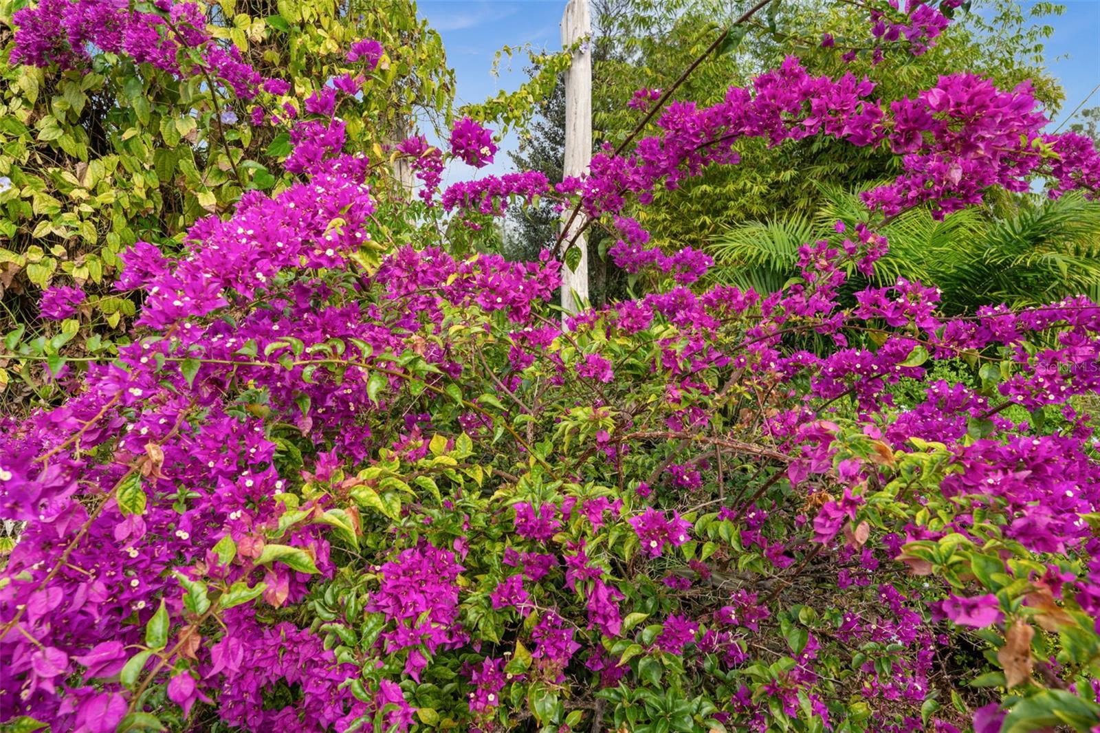 S P G HEIGHTS AKG ESTATE - Residential