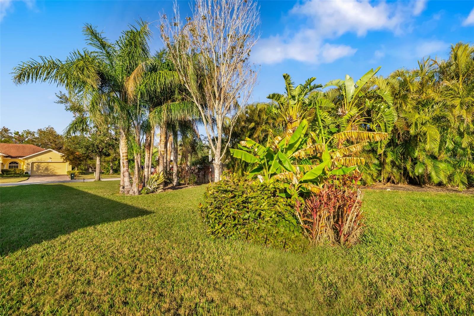 LEXINGTON ADD - Residential