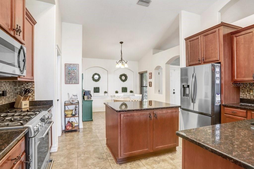 15723 STARLING WATER DRIVE