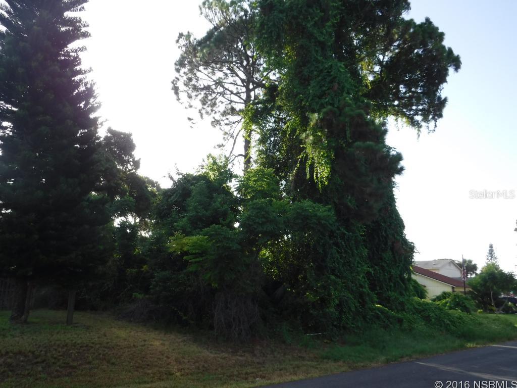 Florida Shores 01 - Land