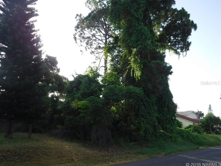 Are You Budget Wise? Easy Access to I-95, shops and restaurants. Zoned for a single family residence. No flood insurance required. Excellent Value for a 80x125 Lot!; Cleared: Partial ;Water: Available at Site