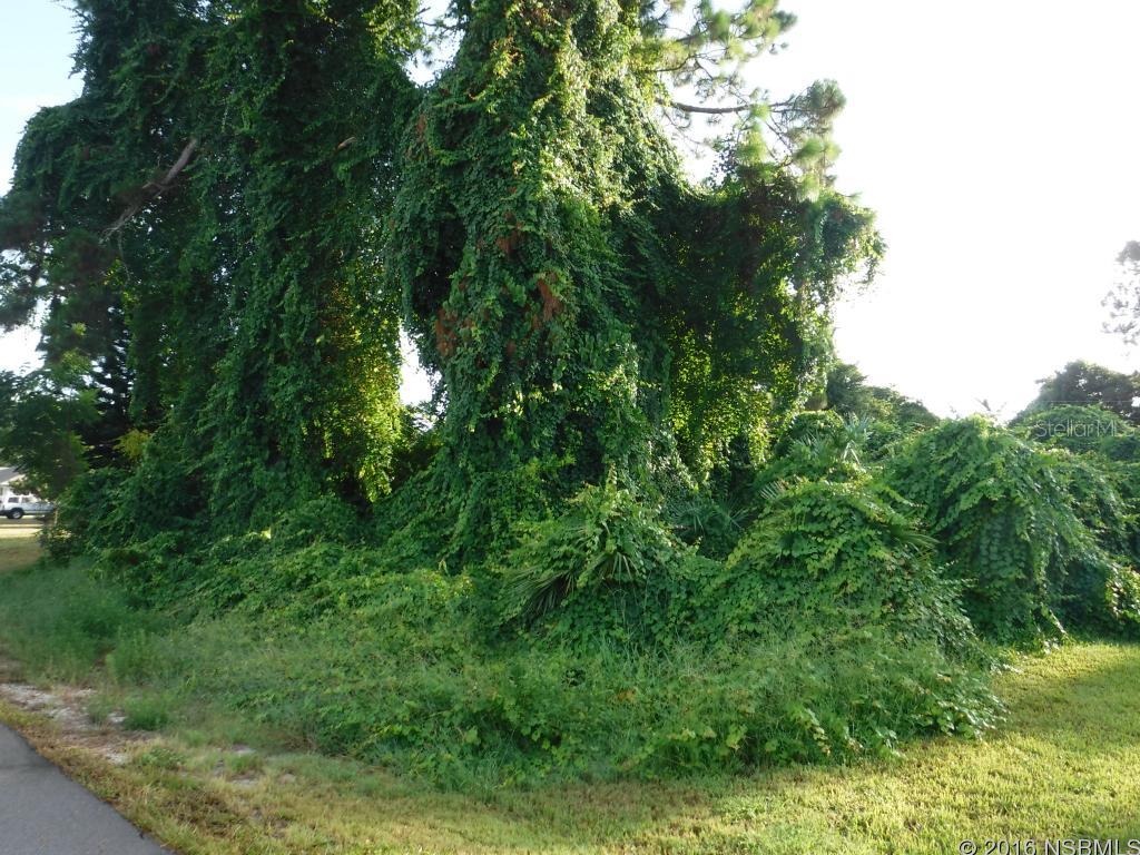 Florida Shores 01 - Land