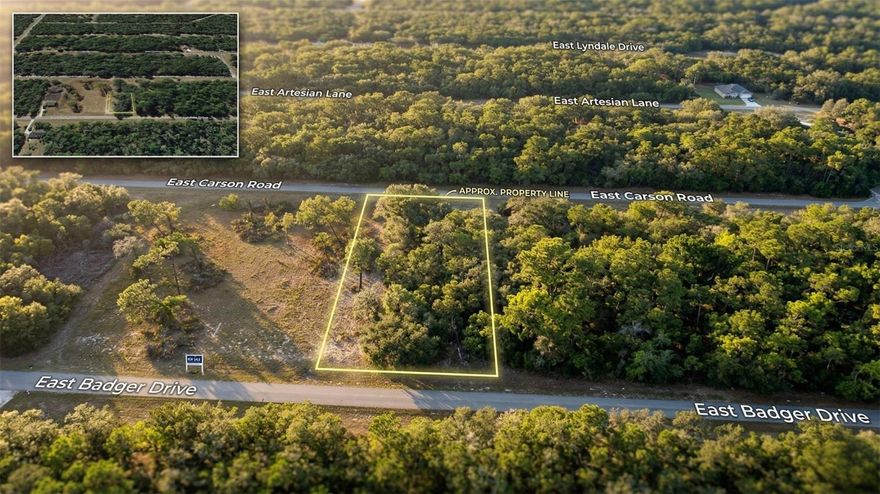 Build your future home on this spacious 0.34-acre lot located in the established Citrus Springs community. This property offers a peaceful setting with plenty of room to design a home that fits your lifestyle.The neighboring lot to the west is county-owned and not expected to be built on, adding an extra sense of privacy and open space.There is no HOA, giving you flexibility and freedom with your building plans. The lot is conveniently located near shopping, dining, schools, and medical facilities, while still offering a quiet neighborhood feel. Easy access to major roads makes commuting simple, and nearby outdoor attractions add to the appeal of the area.Whether you’re ready to build now or looking to invest for the future, this is a great opportunity to own affordable land in a growing part of Citrus County.