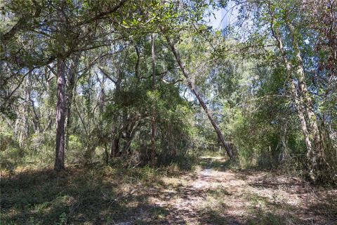 Tiny photo for Tbd Cr 673, Webster, FL 33597 (MLS # G5103879)