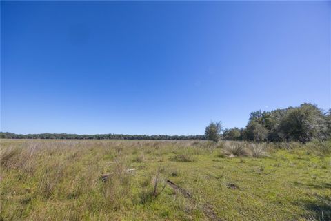 Tiny photo for Tbd Cr 673, Webster, FL 33597 (MLS # G5103879)