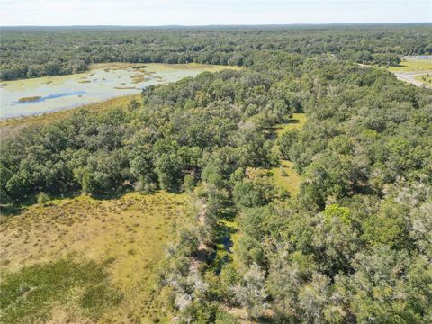 Tiny photo for Tbd Cr 673, Webster, FL 33597 (MLS # G5103879)