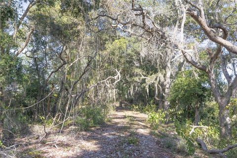 Tiny photo for Tbd Cr 673, Webster, FL 33597 (MLS # G5103879)