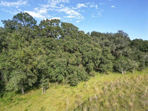 Tiny photo for Tbd Cr 673, Webster, FL 33597 (MLS # G5103879)