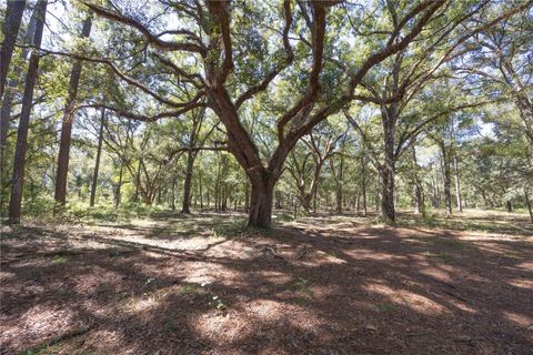 Tiny photo for Tbd Cr 673, Webster, FL 33597 (MLS # G5103879)