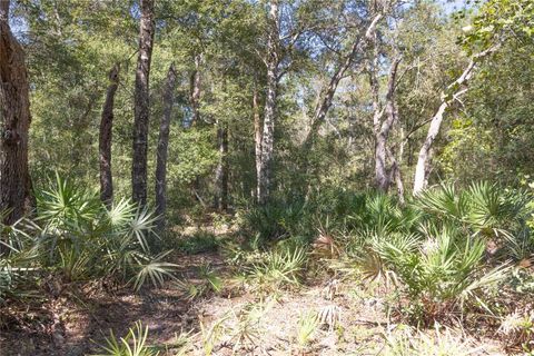Tiny photo for Tbd Cr 673, Webster, FL 33597 (MLS # G5103879)