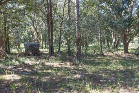 Tiny photo for Tbd Cr 673, Webster, FL 33597 (MLS # G5103879)