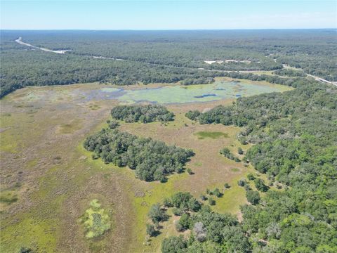 Tiny photo for Tbd Cr 673, Webster, FL 33597 (MLS # G5103879)