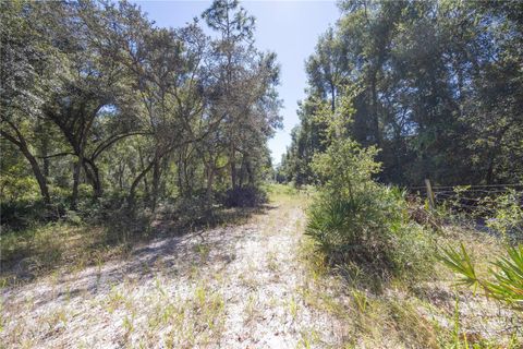 Tiny photo for Tbd Cr 673, Webster, FL 33597 (MLS # G5103879)