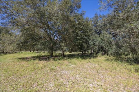 Tiny photo for Tbd Cr 673, Webster, FL 33597 (MLS # G5103879)