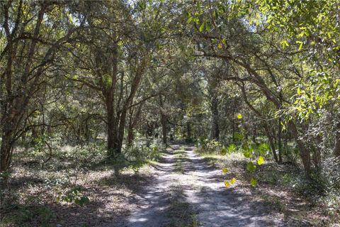 Tiny photo for Tbd Cr 673, Webster, FL 33597 (MLS # G5103879)