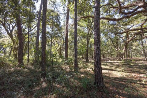 Tiny photo for Tbd Cr 673, Webster, FL 33597 (MLS # G5103879)