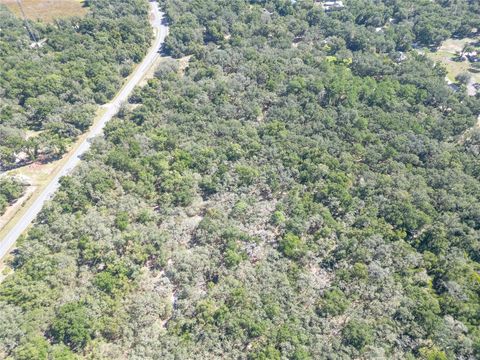 Tiny photo for Tbd Cr 673, Webster, FL 33597 (MLS # G5103879)