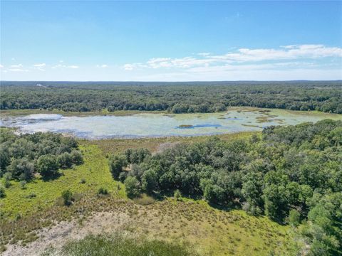 Tiny photo for Tbd Cr 673, Webster, FL 33597 (MLS # G5103879)