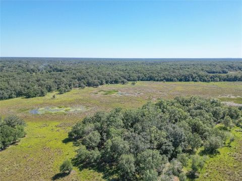 Tiny photo for Tbd Cr 673, Webster, FL 33597 (MLS # G5103879)