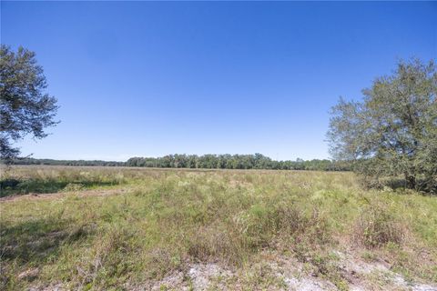 Tiny photo for Tbd Cr 673, Webster, FL 33597 (MLS # G5103879)