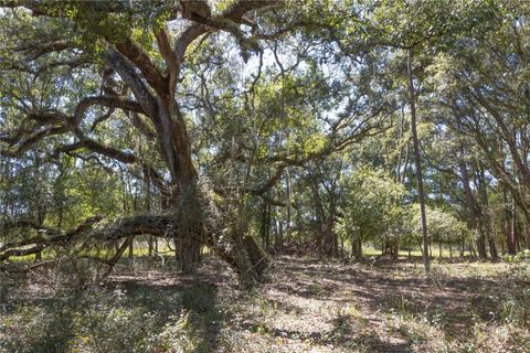 Tiny photo for Tbd Cr 673, Webster, FL 33597 (MLS # G5103879)