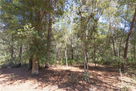 Tiny photo for Tbd Cr 673, Webster, FL 33597 (MLS # G5103879)