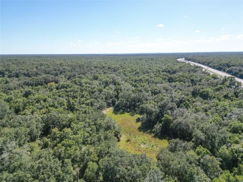 Tiny photo for Tbd Cr 673, Webster, FL 33597 (MLS # G5103879)